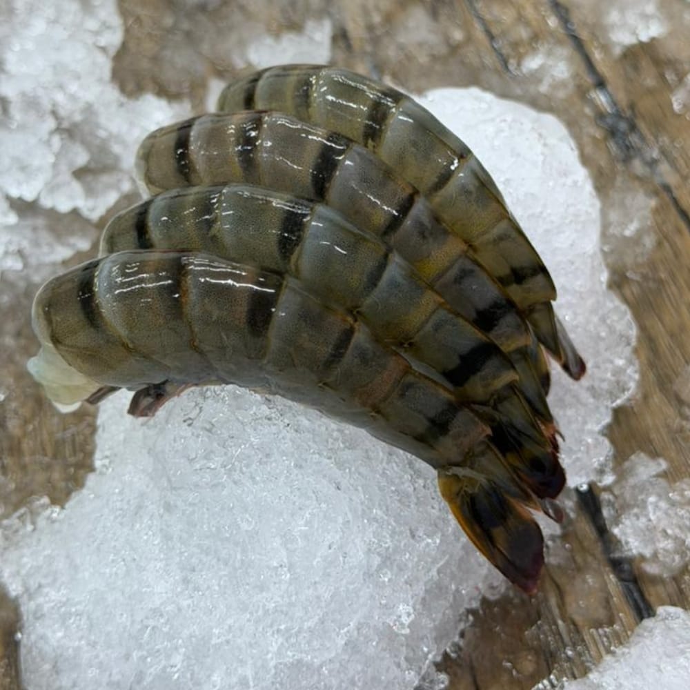 Chilled headless Black Tiger prawn products from Malaysia
