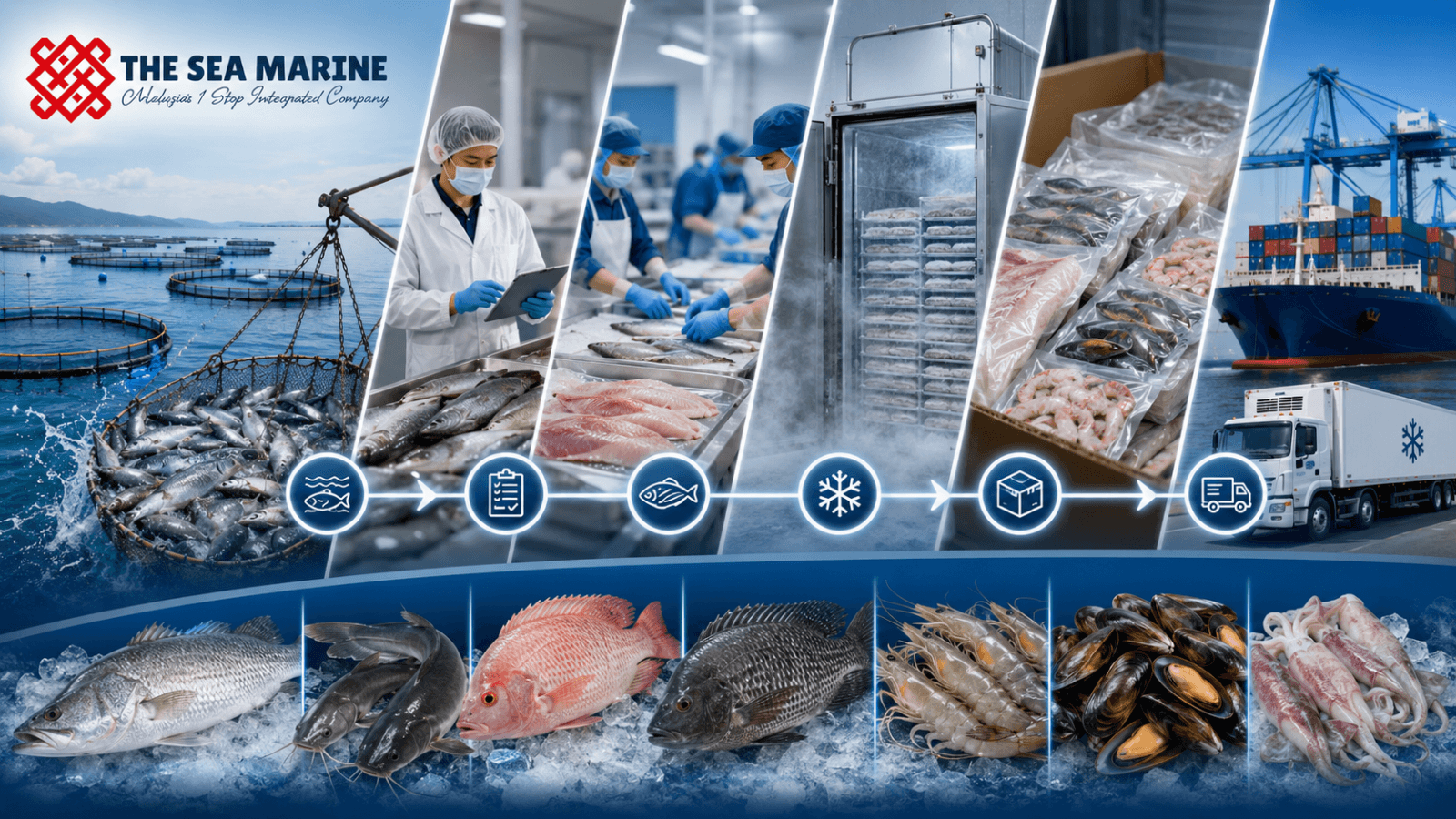 Farm-to-freezer seafood traceability from aquaculture pond to frozen product shipment