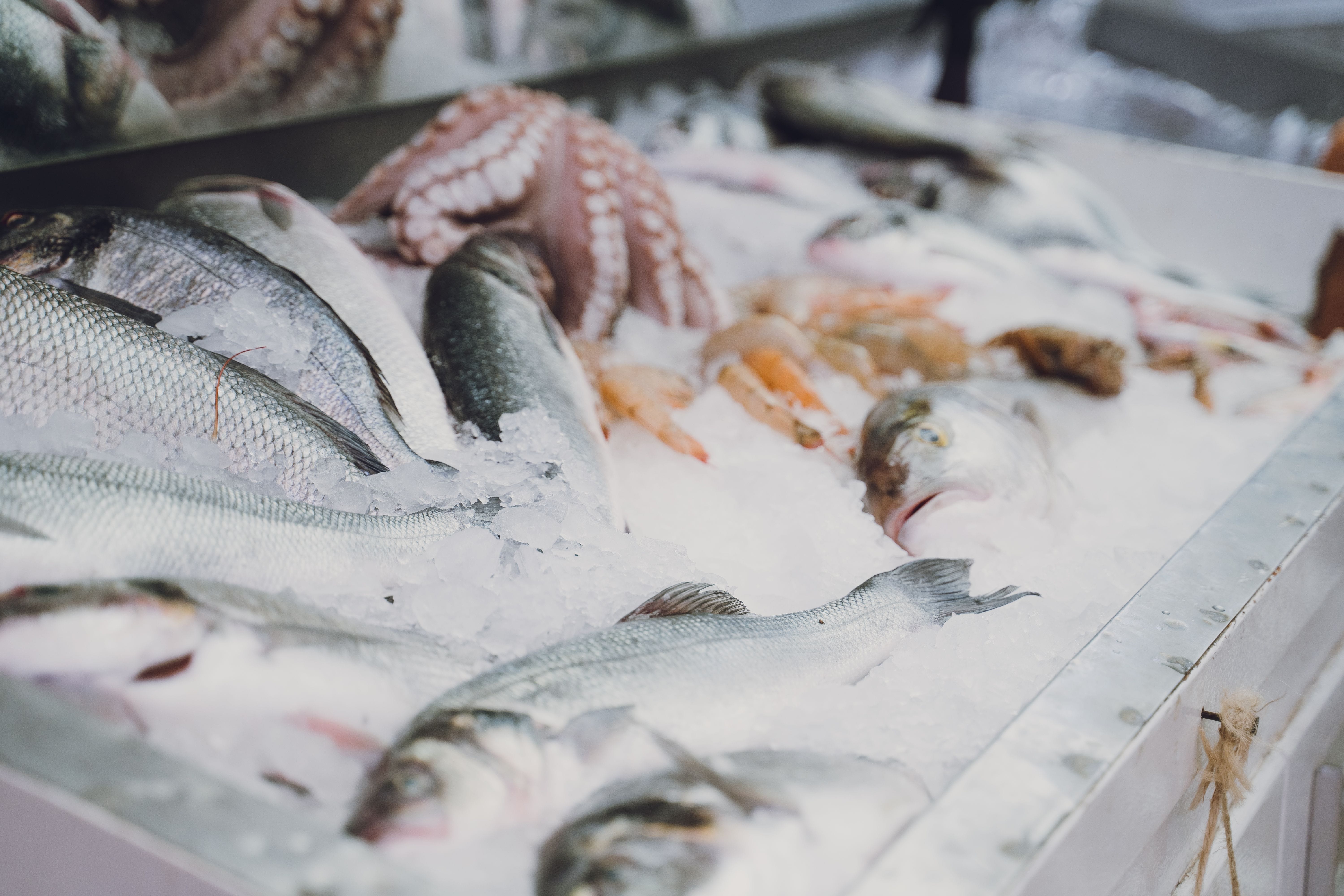 Chilled seafood products prepared for freshness