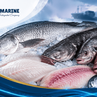 Frozen fish fillets and whole fish prepared for product specification review