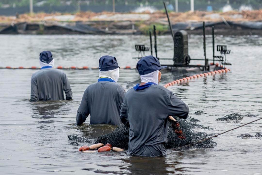 Integrated aquaculture production site