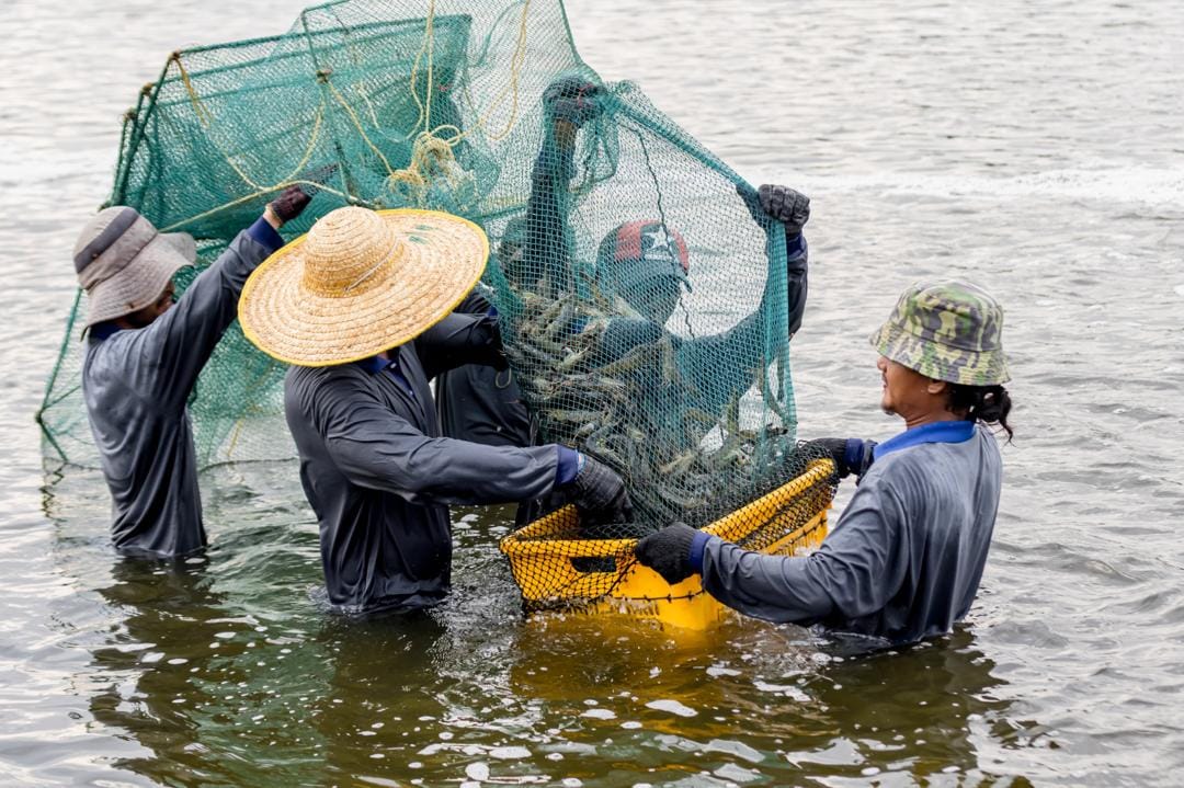 Integrated aquaculture production site
