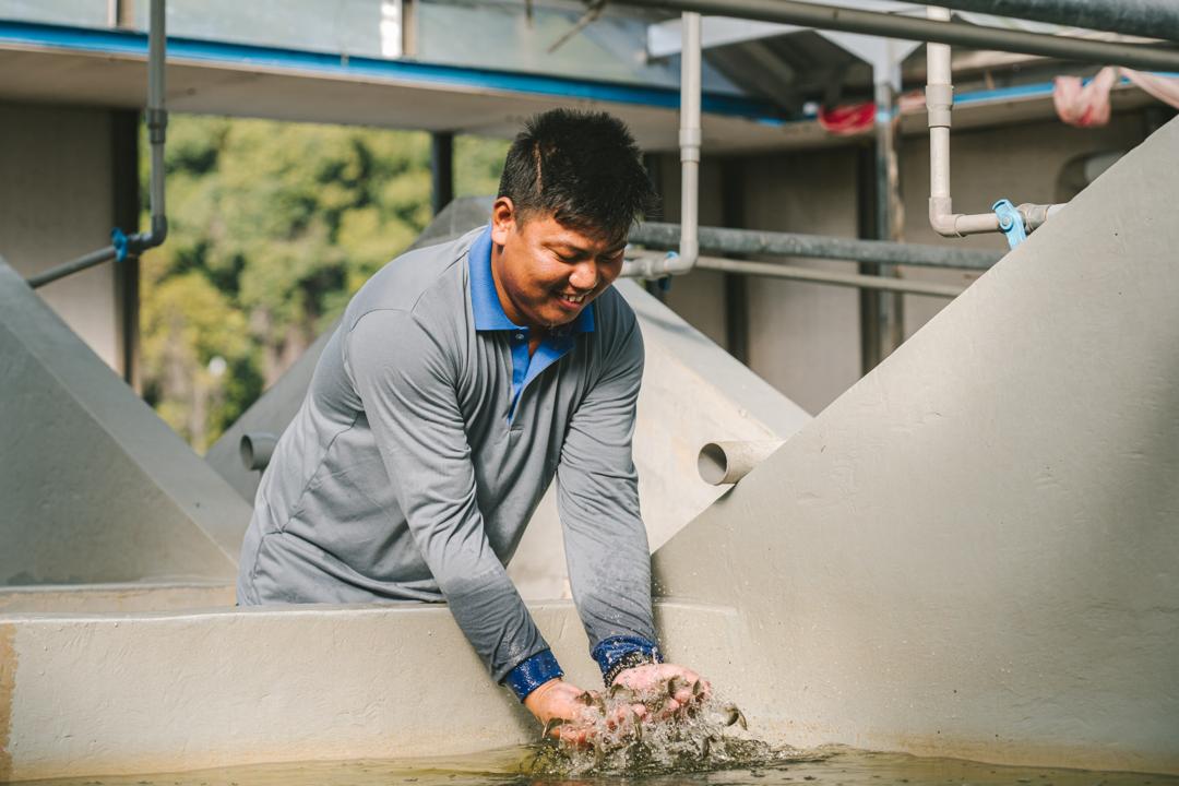 Aquaculture water management pond