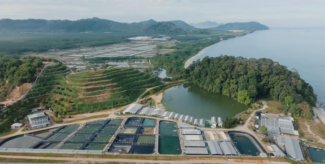 Aquaculture farming pond and surrounding environment