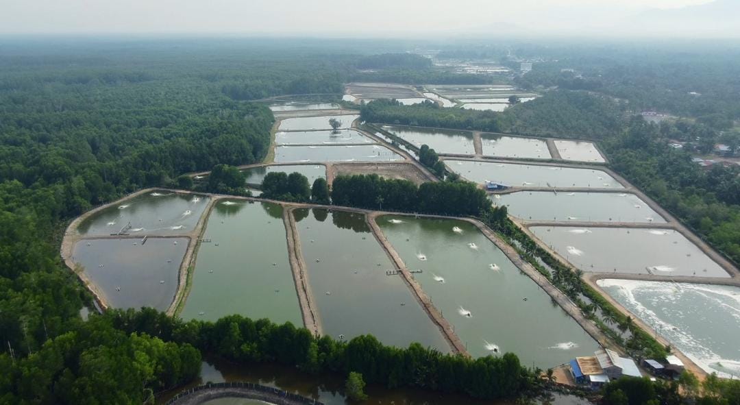 Aquaculture pond monitoring environment