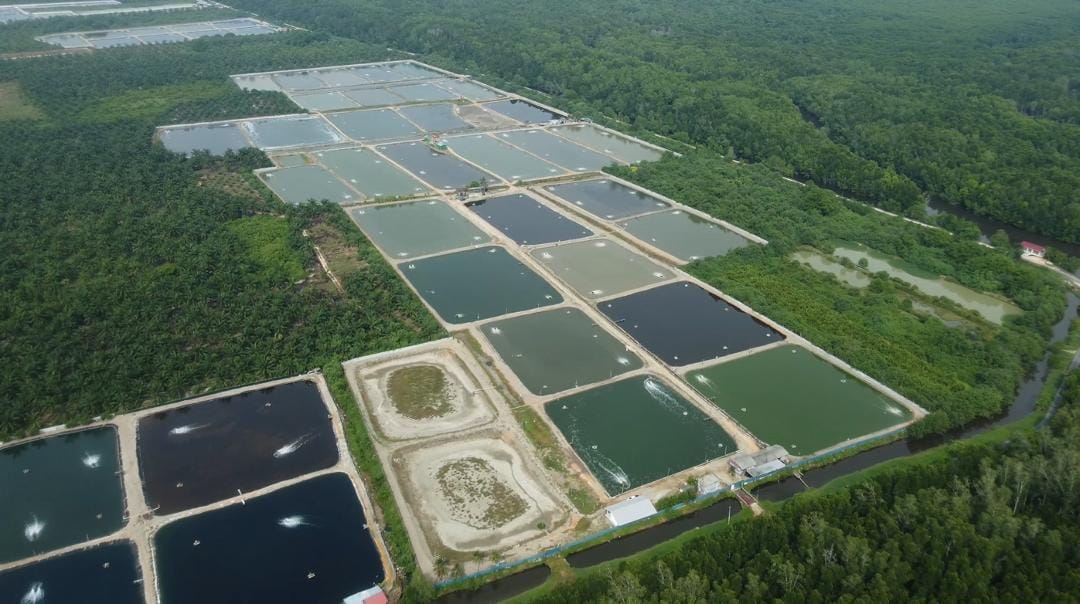 Aquaculture water management pond