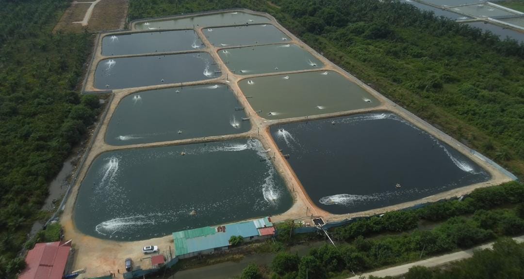Integrated aquaculture production site