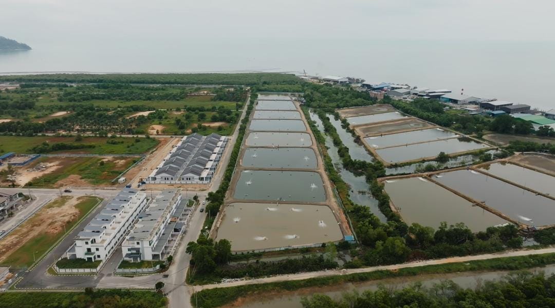 Integrated aquaculture production site
