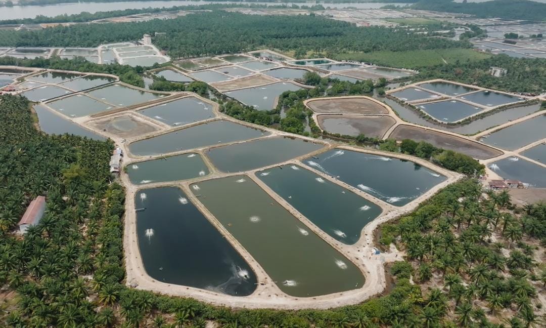 Integrated aquaculture production site