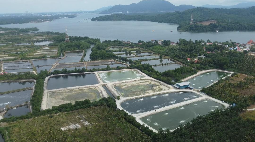 Aquaculture production pond site