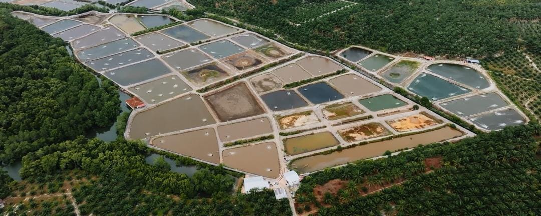 Aquaculture production pond site