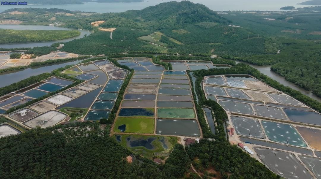 Aquaculture facility and pond environment