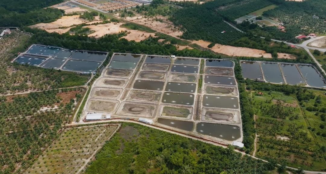 Aquaculture pond and farm infrastructure