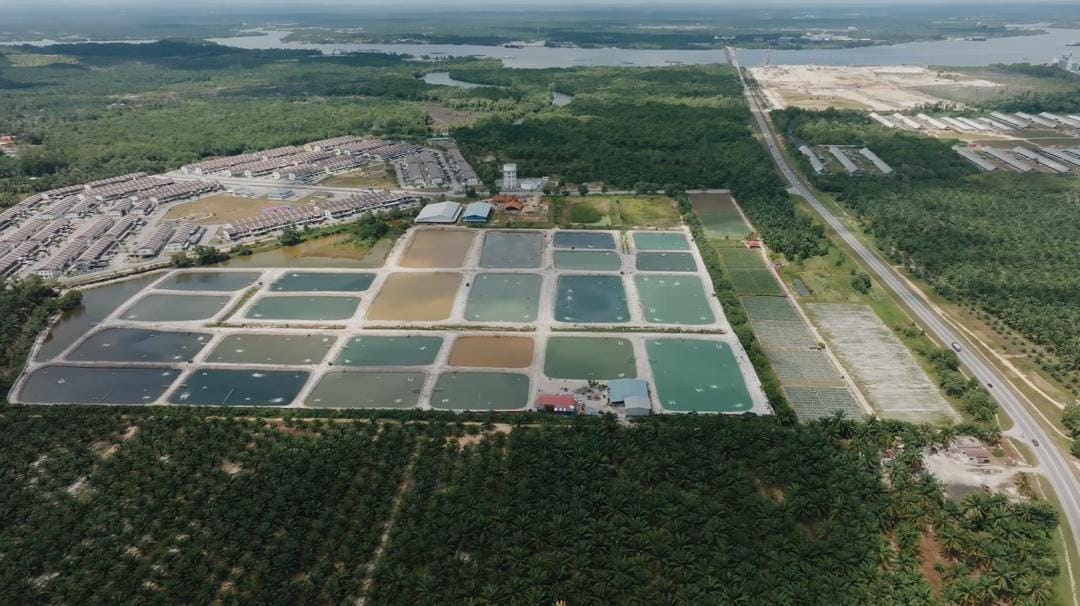 Managed aquaculture production environment