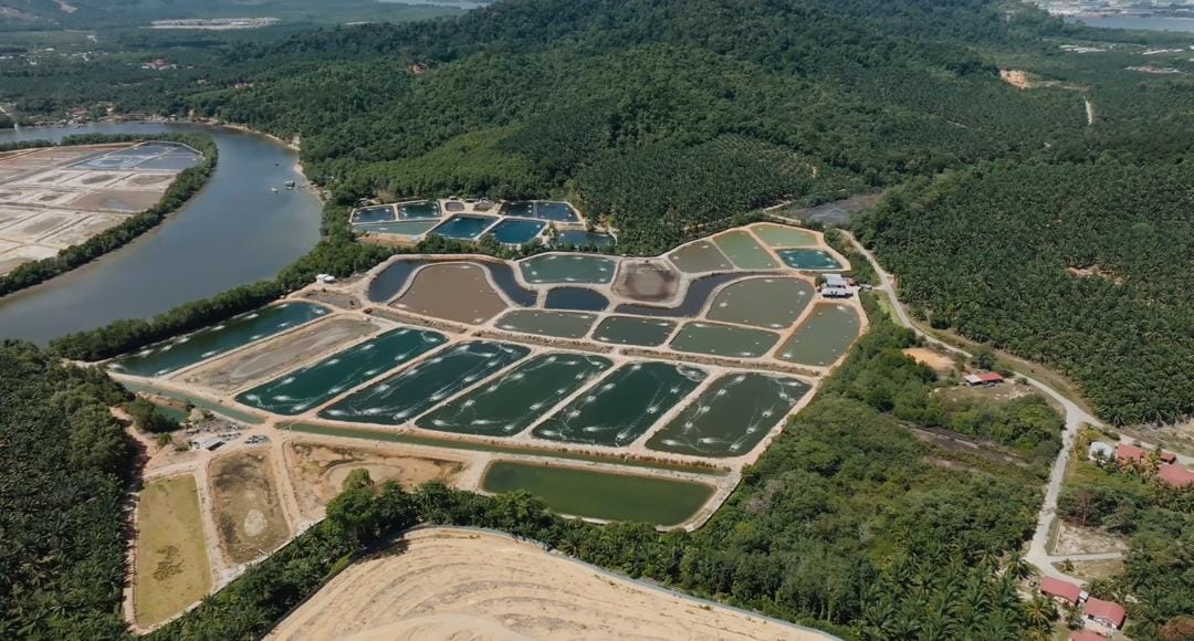 Aquaculture water and pond management