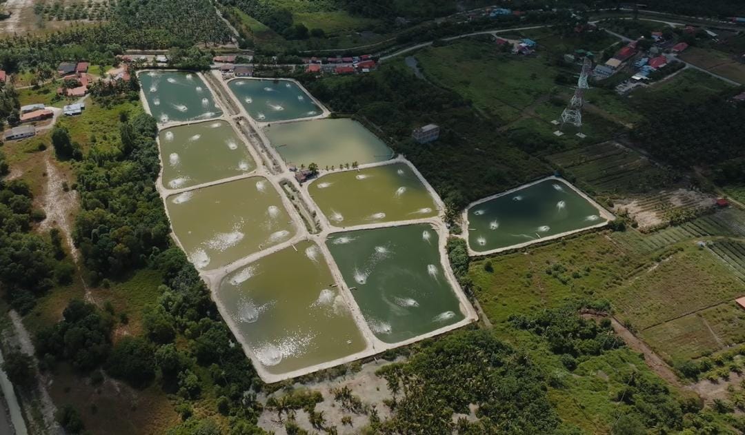 Integrated aquaculture facility