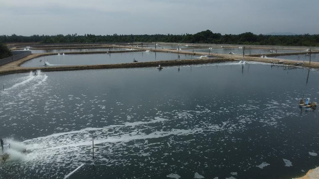 Integrated aquaculture facility