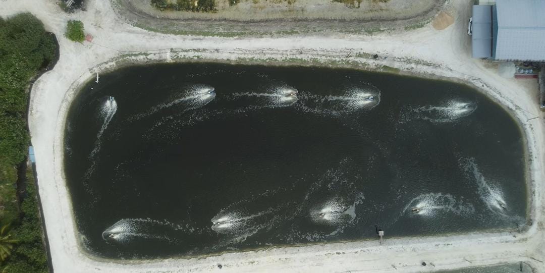 Integrated aquaculture facility