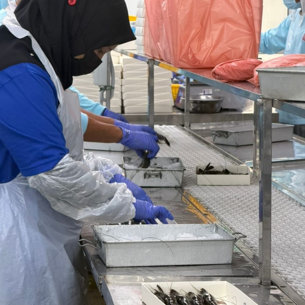 Seafood processing team carrying out product handling and quality control