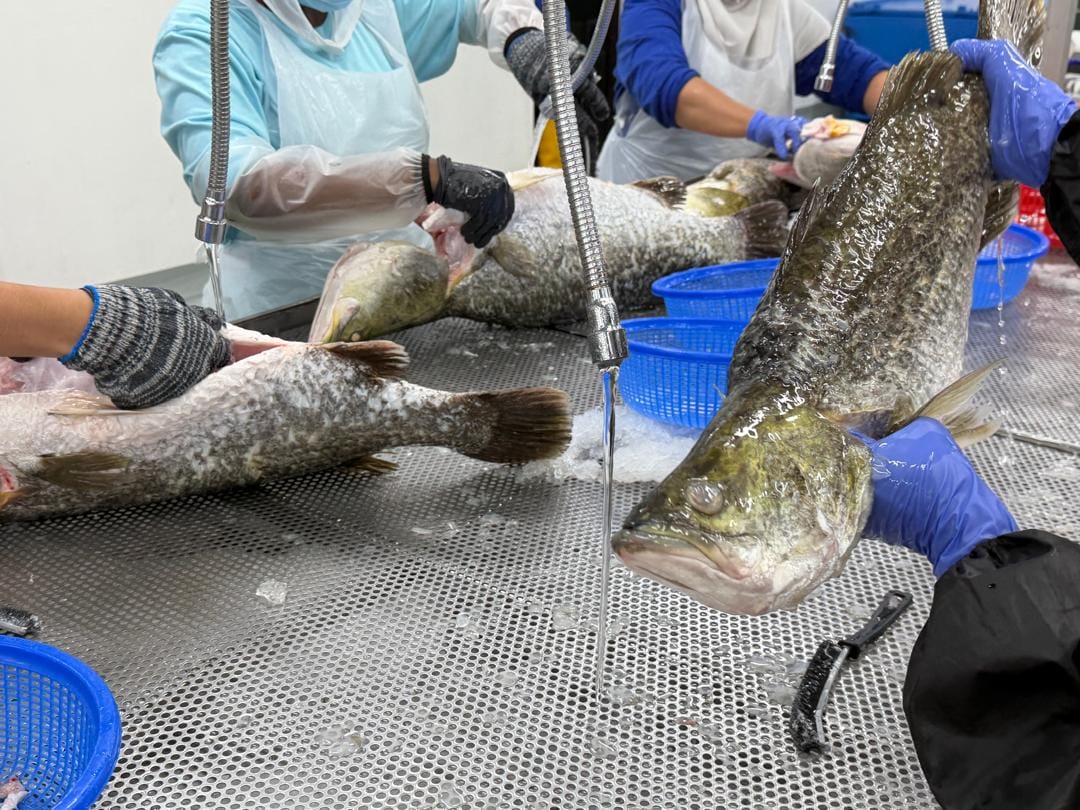 Aquaculture facility and pond environment