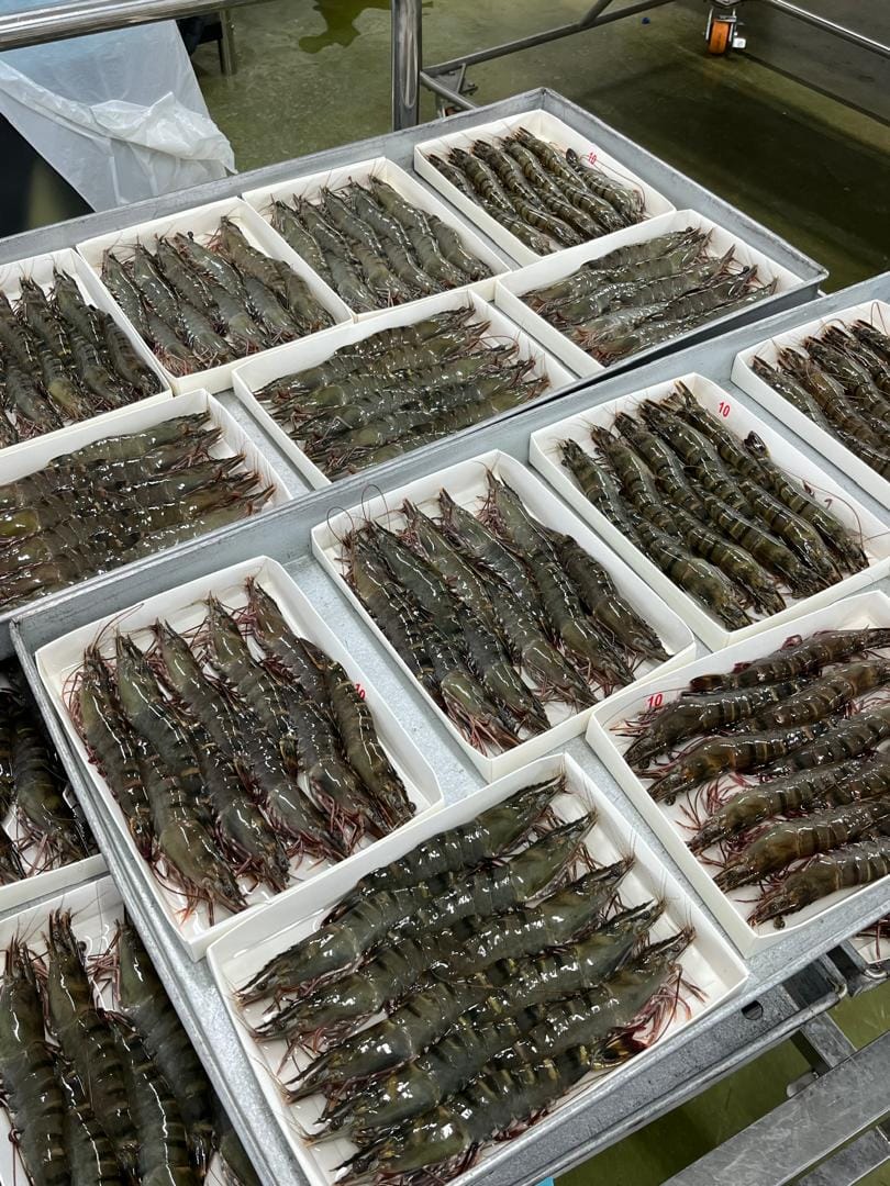 Aquaculture facility and pond environment