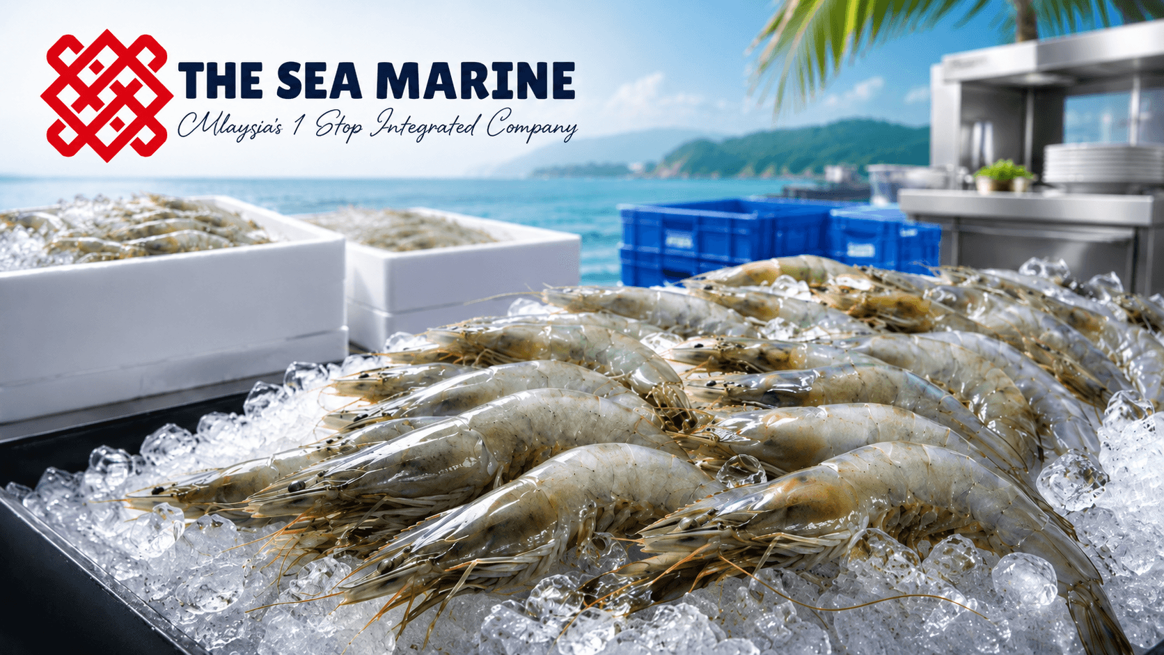 Frozen vannamei prawns prepared for wholesale and food-service markets